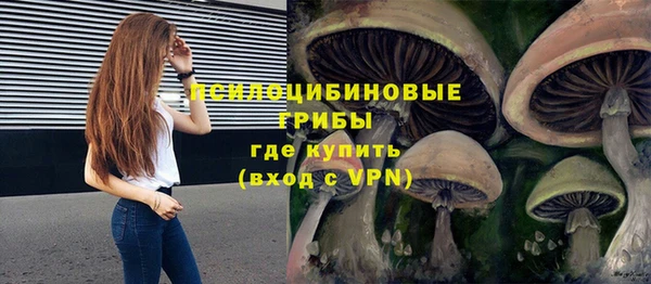 прущая мука Михайлов