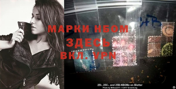 амф Богданович