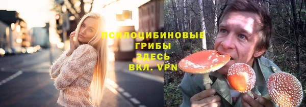 стаф Михайловка