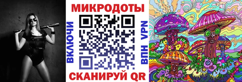 Псилоцибиновые грибы Psilocybine cubensis сколько стоит Заводоуковск