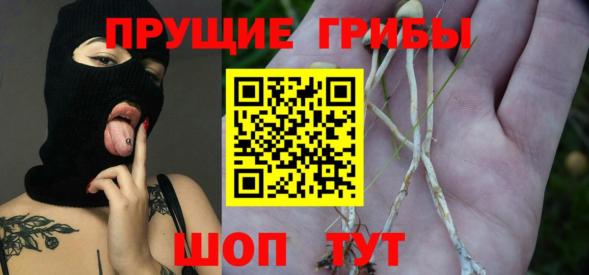 Галлюциногенные грибы GOLDEN TEACHER  Вход с VPN  Заводоуковск 