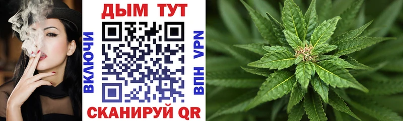 Каннабис THC 21%  купить наркоту  Заводоуковск 